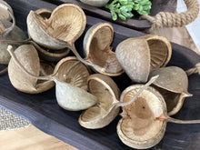 Load image into Gallery viewer, Budha Nut Pod