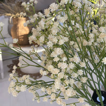 Load image into Gallery viewer, Baby&#39;s Breath stem