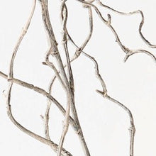 Load image into Gallery viewer, Twig Curly Willow Spray- Grey Wash