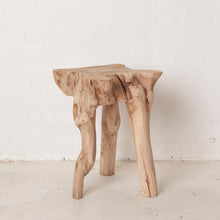 Load image into Gallery viewer, Elif Tree Root Stool